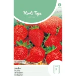 aardbei-grandian-zaad-xCOuHdRJ-0.webp