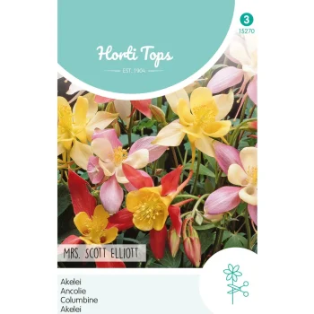 Hot Horti Tops Akelei Mrs. Scott Elliott
