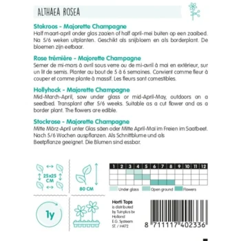 Online Horti Tops Alcea Majorette Champagne (Stokroos) Zaad