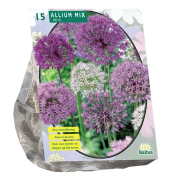 Clearance Baltus Allium Mix Paars Wit Per 15