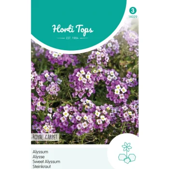Clearance Horti Tops Alyssum Royal Carpet