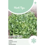 Outlet Horti Tops Andijvie Breedblad Volhart Winter