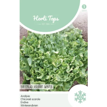 Outlet Horti Tops Andijvie Breedblad Volhart Winter
