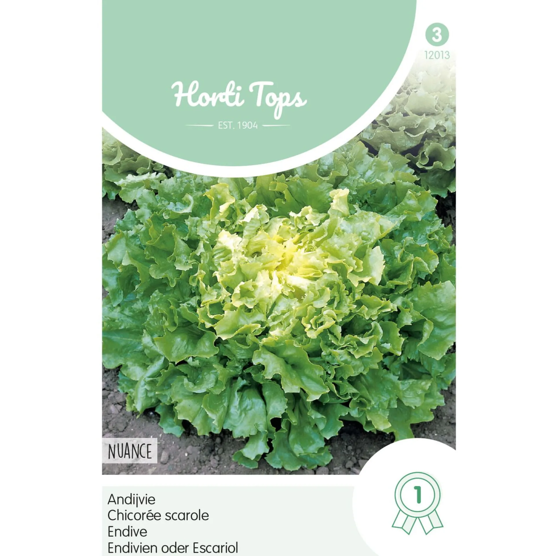 andijvie-nuance-iEltryPb-0.webp Sale Horti Tops Andijvie Nuance