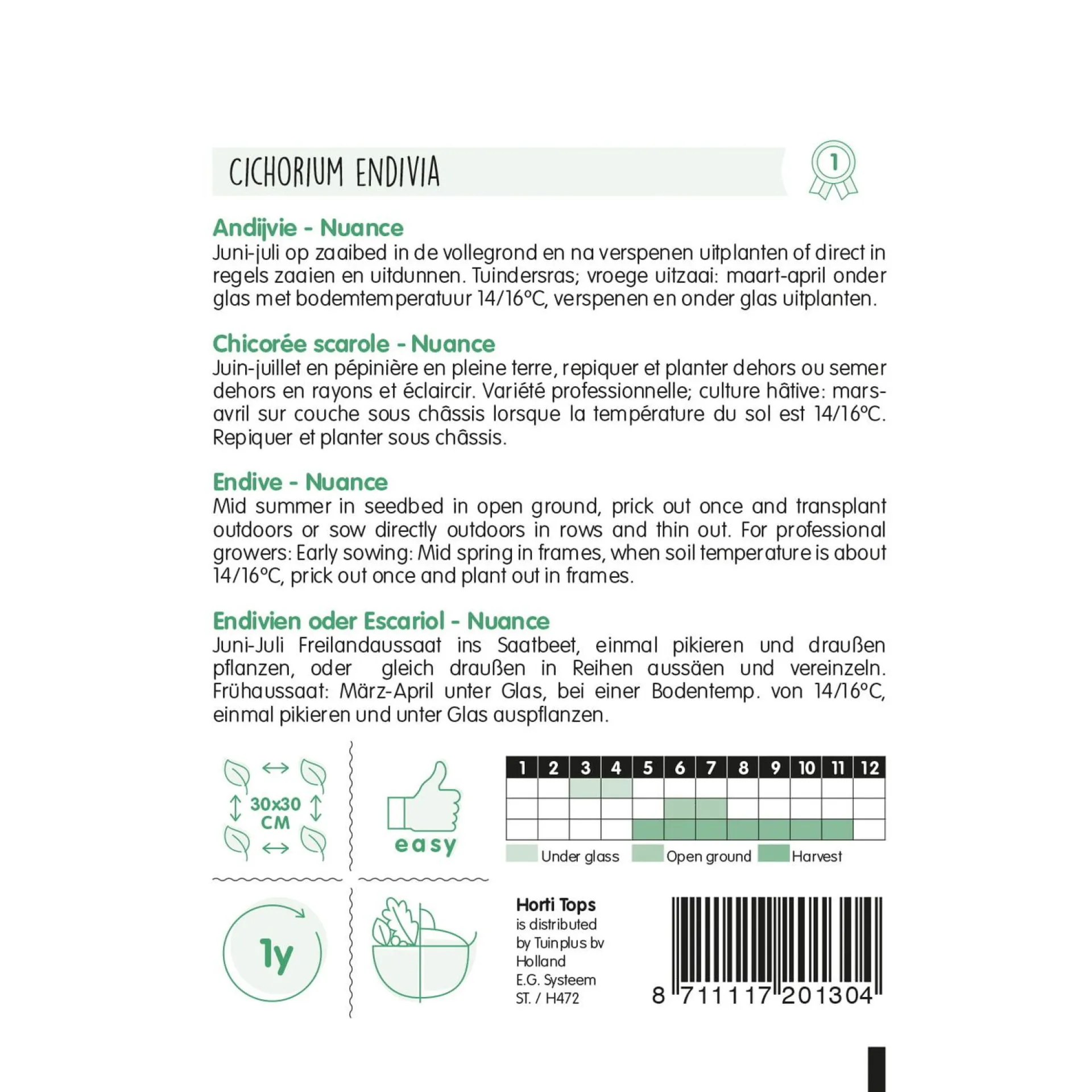andijvie-nuance-iEltryPb-1.webp Sale Horti Tops Andijvie Nuance