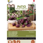Outlet Buzzy Aubergine Patio Baby F1