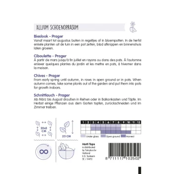 Sale Horti Tops Bieslook Prager Zaad