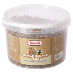 black-soldier-flies-3l-smulti-kgQaawqS-0.webp