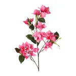 bloem-bougainvillea-fuchsia-76-BGiuwxlj-0.webp