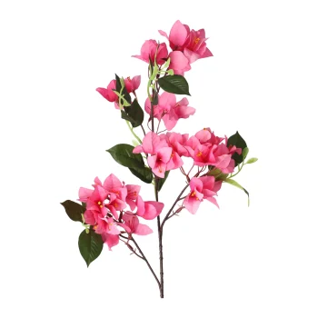 Fashion Bloem Bougainvillea Fuchsia 76 Cm