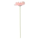 bloem-gerbera-roze-55-cm-LCgXKFzH-0.webp