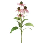 bloem-rudbeckia-lila-73-cm-ZouwOiuo-0.webp