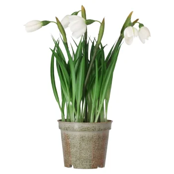 Hot Mica Decorations Bloem Sneeuwklokje 24 Cm