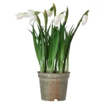 bloem-sneeuwklokje-24-cm-AAhXMLHE-0.webp