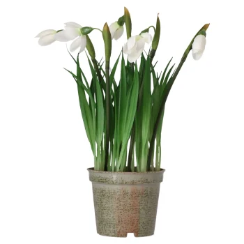 Hot Mica Decorations Bloem Sneeuwklokje 24 Cm