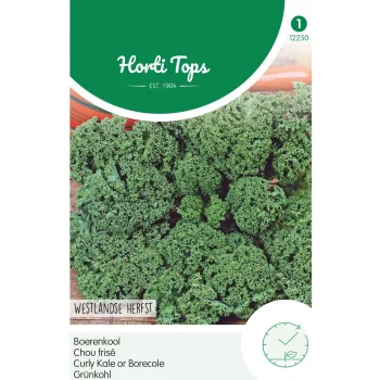 New Horti Tops Boerenkool Westlands Herfst Laat Type
