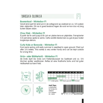 Sale Horti Tops Boerenkool Winterbor F1