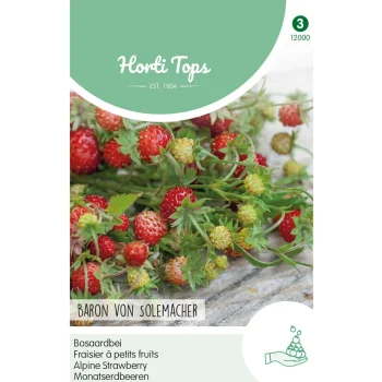Discount Horti Tops Bosaardbei Baron Von Solemacher Zaad