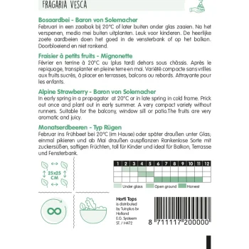 Discount Horti Tops Bosaardbei Baron Von Solemacher Zaad