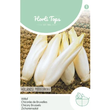 Hot Horti Tops Brussels Witlof Hollands Middelvroeg