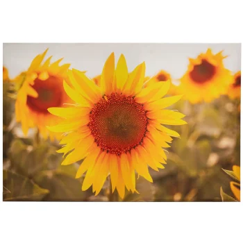 Fashion O'malley Buitenschilderij 90 X 60 Cm Zonnebloem