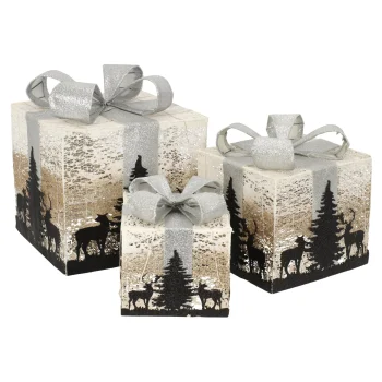 Online Cadeauset LED Bomen Rose Zilver 3-delig