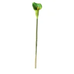 calla-enkel-67-cm-groen-wZlNmJtw-0.webp