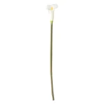 Sale O'malley Calla Enkel 67 Cm Wit