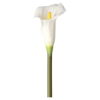 Sale O'malley Calla Enkel 67 Cm Wit