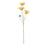 calliopsis-geel-64-cm-XaqovRdu-0.webp