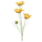 calliopsis-geel-64-cm-XaqovRdu-0.webp