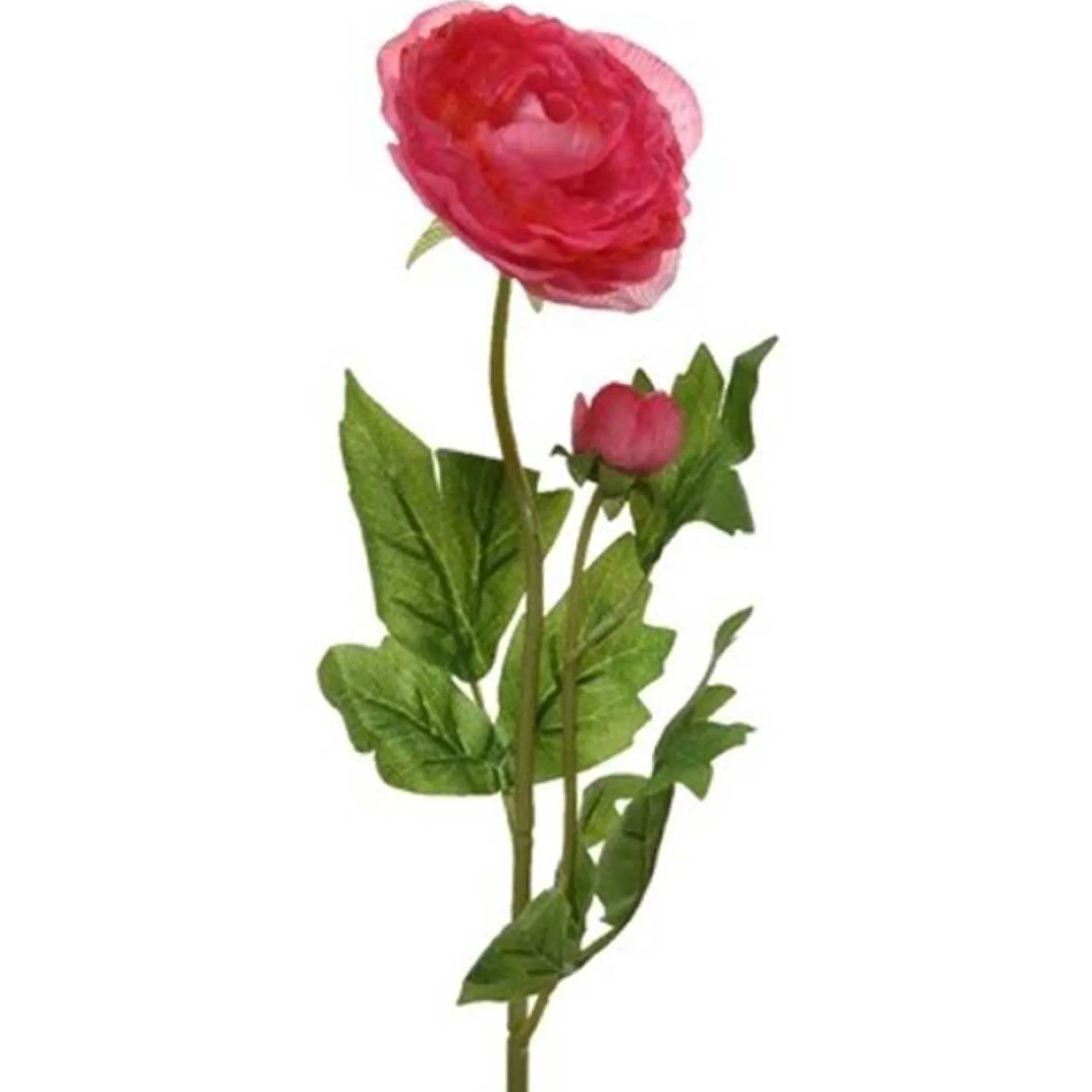 camelia-op-steel-57-cm-roze-NJlRSgLs-0.webp Hot Everlands Camelia Op Steel 57 Cm Roze