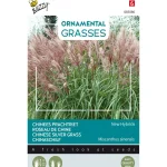 Online Buzzy Chinees Prachtriet