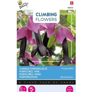 New Buzzy Chinees Purperklokje