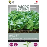 citroenbasilicum-microgreens-z-YhtSsnTE-0.webp
