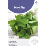 Fashion Horti Tops Citroenmelisse Zaad