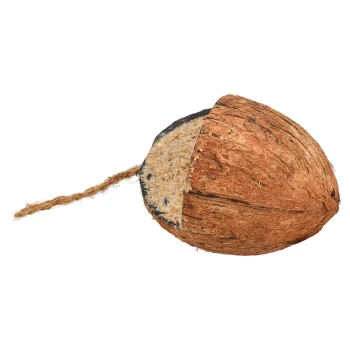 Clearance Smulti Cocosnoot Platform Wintervoer