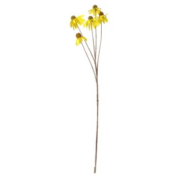 Outlet Everlands Coneflower Geel 92 Cm