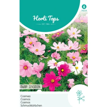 Discount Horti Tops Cosmos Dwarf Sensation Mix