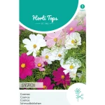 Fashion Horti Tops Cosmos Sensation Mix