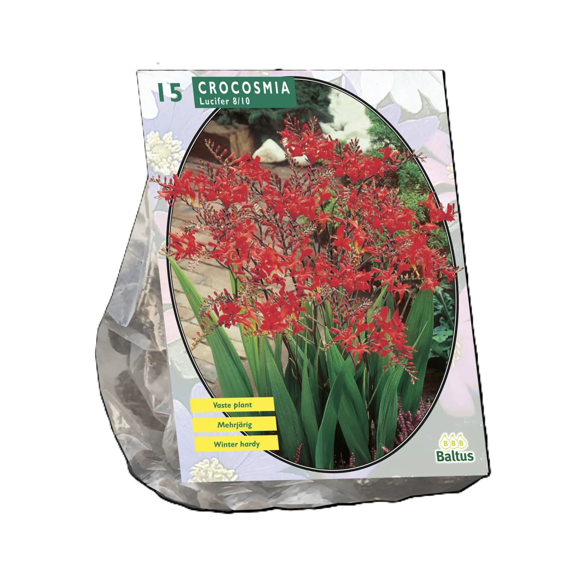 crocosmia-lucifer-per-15-stuks-POAvOlgJ-0.webp Outlet Baltus Crocosmia Lucifer Per 15 Stuks