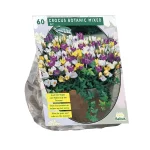 Fashion Baltus Crocus Botanisch Mix Per 60