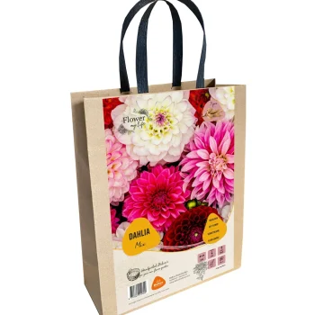 Fashion Baltus Dahlia Flower My Life Giftbag