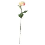 dahlia-op-steel-creme-75-cm-oJKVFsUr-0.webp