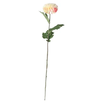 Discount Everlands Dahlia Op Steel Creme 75 Cm