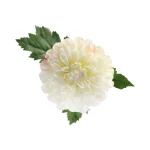 dahlia-op-steel-creme-75-cm-oJKVFsUr-0.webp