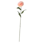 dahlia-op-steel-roze-75-cm-EHraAdke-0.webp