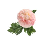dahlia-op-steel-roze-75-cm-EHraAdke-0.webp
