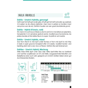 Fashion Horti Tops Dahlia Unwin Mix