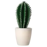 Outlet O'malley Decoratieve Cactusplant 19 Cm Diverse Assorti